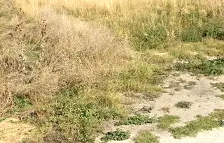 Парцел в Пловдив, с. Крумово