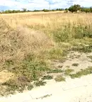 Парцел в Пловдив, с. Крумово