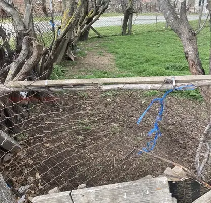 Снимка 3 — Парцел в Бургас, с. Крушевец
