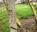 Снимка 5 — Парцел в Бургас, с. Крушевец