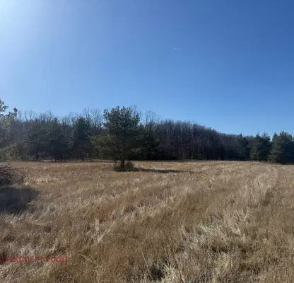 Photo 2 — Plot in област София, Krushovica