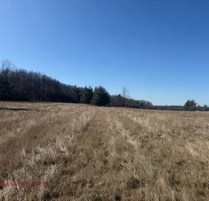 Photo 5 — Plot in област София, Krushovica