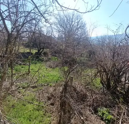 Photo 2 — Plot in Oblast Veliko Tyrnovo, Ledenik