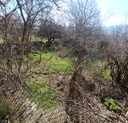 Photo 3 — Plot in Oblast Veliko Tyrnovo, Ledenik