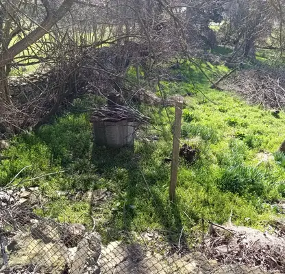 Photo 4 — Plot in Oblast Veliko Tyrnovo, Ledenik