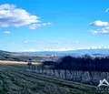 Снимка 4 — Парцел в Перник, с. Лесковец