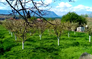 Парцел във Враца, с. Лиляче