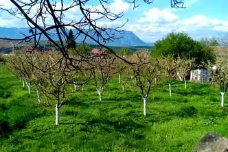Парцел във Враца, с. Лиляче