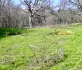 Снимка 2 — Парцел в Стара Загора, с. Лозен
