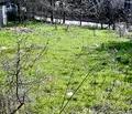 Снимка 4 — Парцел в Стара Загора, с. Лозен
