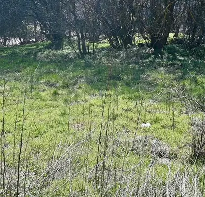Photo 5 — Plot in Stara Zagora, Lozen