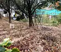 Снимка 2 — Парцел в с. Лозен