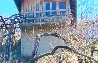 Парцел в с. Лозен