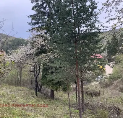 Снимка 3 — Парцел в София, с. Мала Раковица