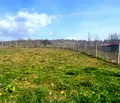 Снимка 4 — Парцел в Стара Загора, с. Малка Верея