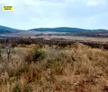 Снимка 2 — Парцел в Стара Загора, с. Малка Верея