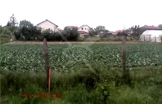Парцел в Пловдив, с. Маноле