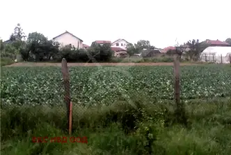 Парцел в Пловдив, с. Маноле