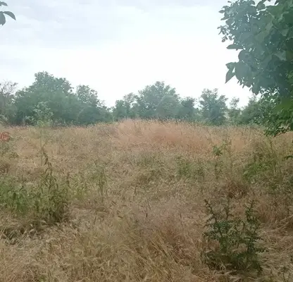Снимка 2 — Парцел в Шумен, с. Марково
