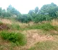 Снимка 3 — Парцел в Шумен, с. Марково