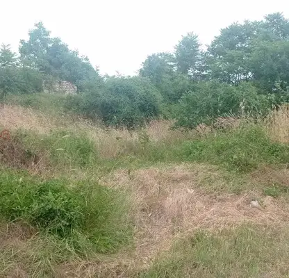 Снимка 3 — Парцел в Шумен, с. Марково