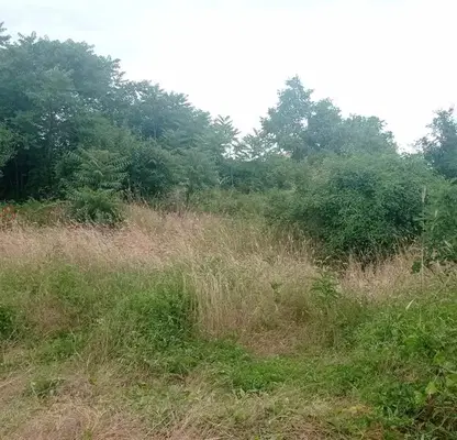 Снимка 4 — Парцел в Шумен, с. Марково