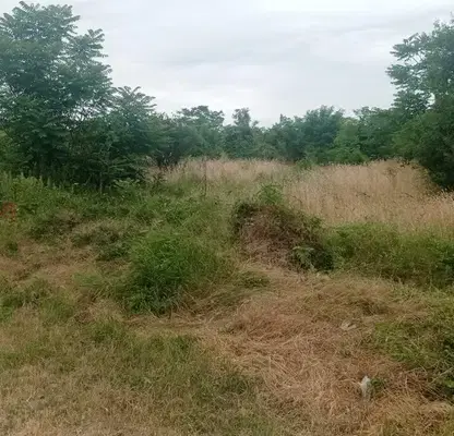 Снимка 5 — Парцел в Шумен, с. Марково