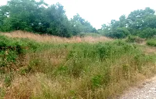 Парцел в Шумен, с. Марково