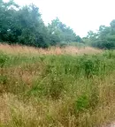 Парцел в Шумен, с. Марково