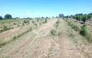 Парцел в Пловдив, с. Марково