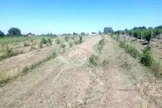 Парцел в Пловдив, с. Марково