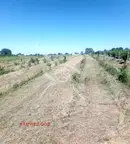Парцел в Пловдив, с. Марково