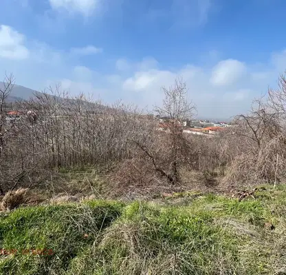 Photo 2 — Plot in Oblast Plovdiv, Markovo
