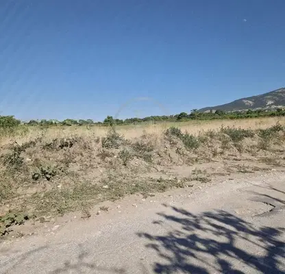 Photo 3 — Plot in Oblast Plovdiv, Markovo