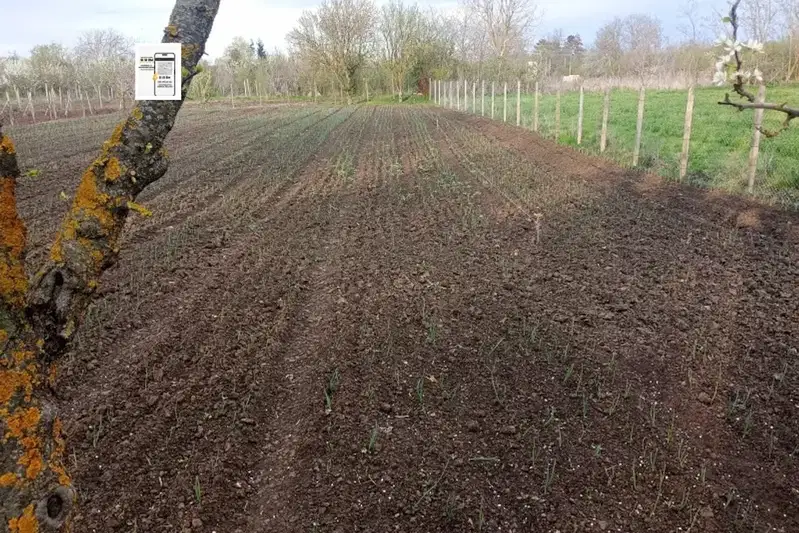 Plot in Oblast Dobrich, Metodievo