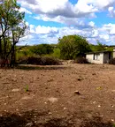 Парцел във Варна, с. Момчилово
