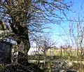 Снимка 4 — Парцел в Пловдив, с. Момино село
