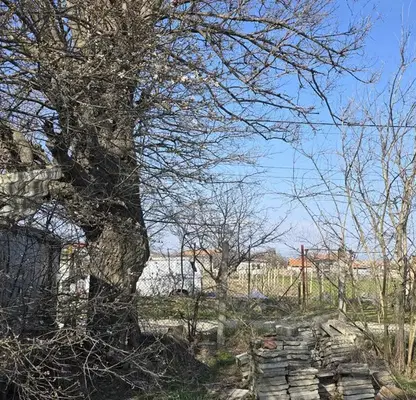 Снимка 4 — Парцел в Пловдив, с. Момино село