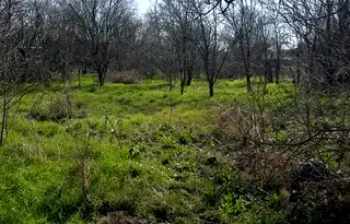 Парцел в Пловдив, с. Момино село