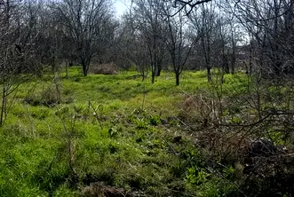 Парцел в Пловдив, с. Момино село