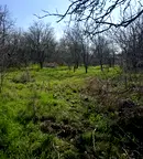 Парцел в Пловдив, с. Момино село