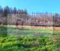 Снимка 2 — Парцел в Русе, с. Николово