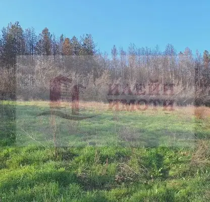 Photo 2 — Plot in Oblast Ruse, Nikolovo
