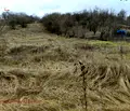 Снимка 2 — Парцел в Перник, с. Ноевци