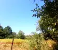 Снимка 2 — Парцел в Бургас, с. Ново Паничарево