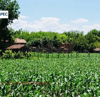 Photo 2 — Plot in Oblast Pleven, Obnova