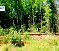 Снимка 4 — Парцел в Плевен, с. Обнова