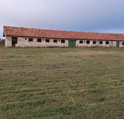 Photo 3 — Plot in Oblast Dobrich, с. Одърци