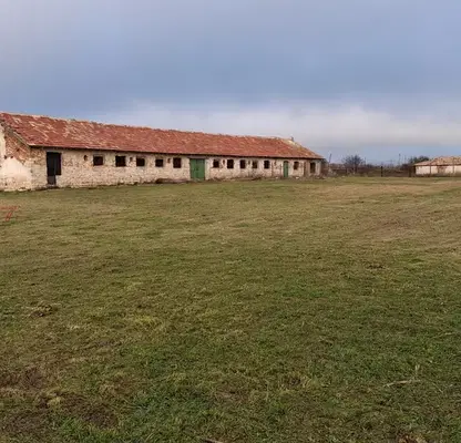 Photo 4 — Plot in Oblast Dobrich, с. Одърци