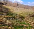 Снимка 2 — Парцел във Варна, с. Осеново